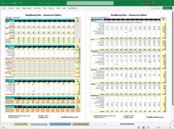 RealMoneyPlan Advanced Financial Plan - Annual Tab Pages 3-4