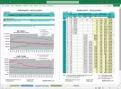 RealMoneyPlan Advanced Financial Plan - Long-Term Tab Pages 1-2