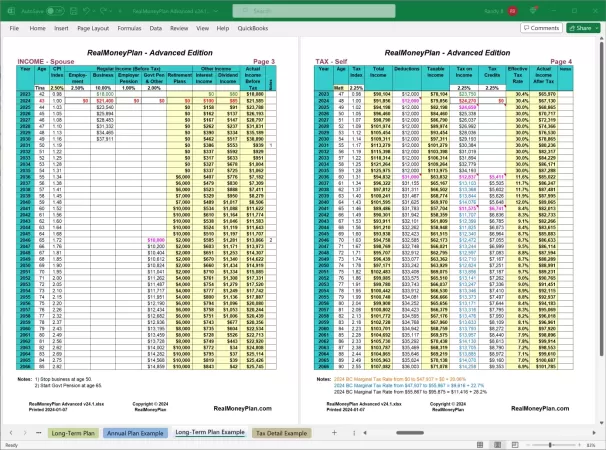 RealMoneyPlan Advanced Financial Plan - Long-Term Tab Pages 3-4