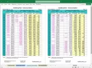 RealMoneyPlan Advanced Financial Plan - Long-Term Tab Pages 9-10