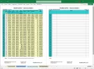 RealMoneyPlan Advanced Financial Plan - Long-Term Tab Pages 15-16